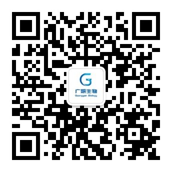 service qrcode